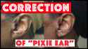 pixie ear.jpg