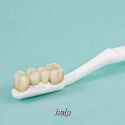 tooth brush.jpg