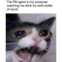 1523406304693.jpg