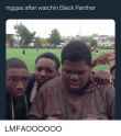 niggas-after-watchin-black-panther-lmfaoooooo-30947876.png