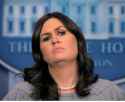 sarah.jpg