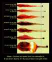 106136-10mm-defense-what-point-just-go-45-acp-if-you-want-big-imageuploadedbytapatalk1424637645.807174.jpg