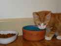 DSC00728 - Copy.jpg