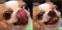 123456.png