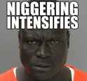 NIGGERING.jpg