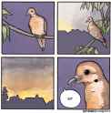 Soybird.jpg