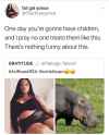 hippo.jpg