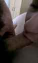 VIDEO0008_0000082261.jpg