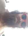 20170823_160510.jpg