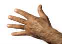 hand.jpg