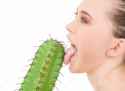 Cactus.jpg