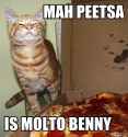 cat peetsa.jpg
