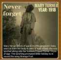 dfbf1-mary2btuner.jpg