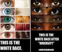 diversity.jpg