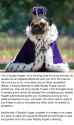 royaltypupper.png