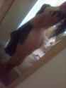 FILE32305.jpg