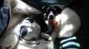20160228_104812.jpg