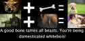 1498526356276.png