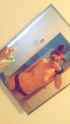 received_1389122244552679.jpg