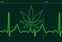 Why-Cannabis-Makes-Your-Heart-Beating-So-Fast-And-What-You-Can-Do-About-It-1-973x656.png