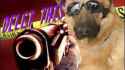 delet this.jpg
