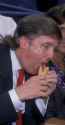hotdog.jpg