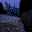 See How Easily a Rat Can Wriggle Up Your Toilet _ National Geographic [240p].gif