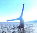 Cartwheel1B.jpg