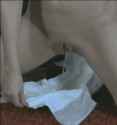 GM_20170101_192529.gif