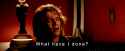 IMG_5651.gif