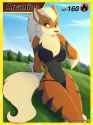 Arcanine132.jpg
