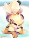 Arcanine112.png