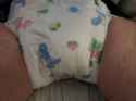 20180508_011245.jpg