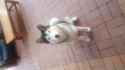 20180508_165359.jpg