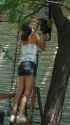2D5B7BB1-61E3-4A15-BD0A-832D099594EA.png
