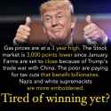 32156039_2072675539492156_311931358605737984_n.png