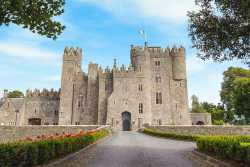 Castle.jpg