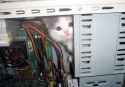 tcat.jpg