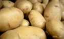 ireland-potato-famine.jpg