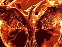 hungergames3.png