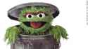 garbage-130704042206-sesame-street-muppet-oscar-grouch-horizontal-gallery.jpg