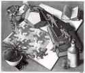 Reptiles - M.C. Escher.jpg