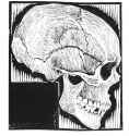 Skull, 1919 - M.C. Escher.jpg