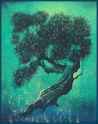 Solitary Bonsai - Eyvind Earle.jpg
