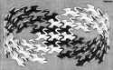 Swans, 1956 - M.C. Escher.jpg