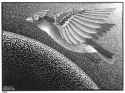The 1st Day Of The Creation, 1925 - M.C. Escher.jpg