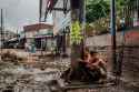 01india-toilet-2-superJumbo.jpg