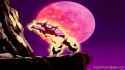 SmoothSilverAfricangroundhornbill-max-1mb.gif