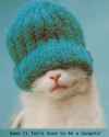 kittah4gy9.jpg