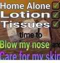 home alone.png